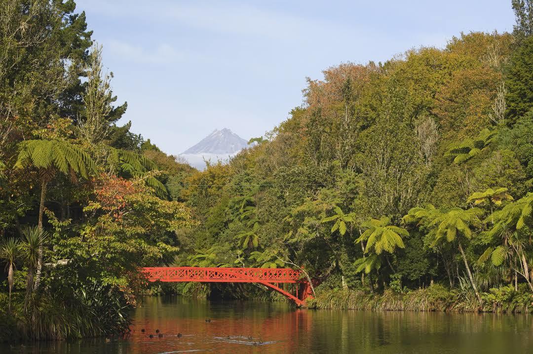 Pukekura Park