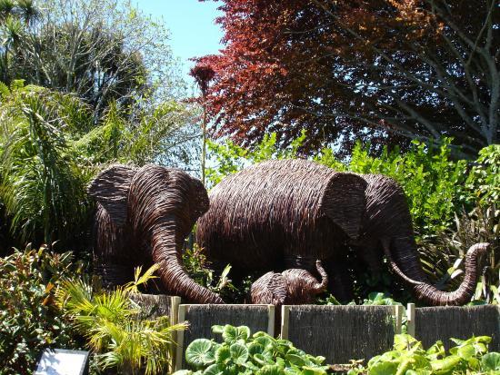 Brooklands Zoo